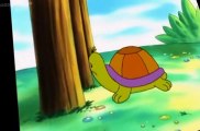 Animal Stories Animal Stories S02 E004 Tony the Tortoise