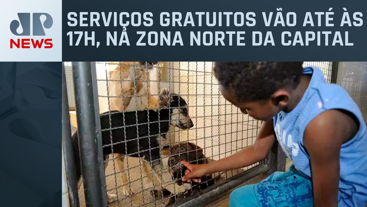 SP: Prefeitura realiza ações para cuidados de c...