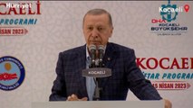 Cumhurbaşkanı Erdoğan: Bunlar siyasi mefta olacak