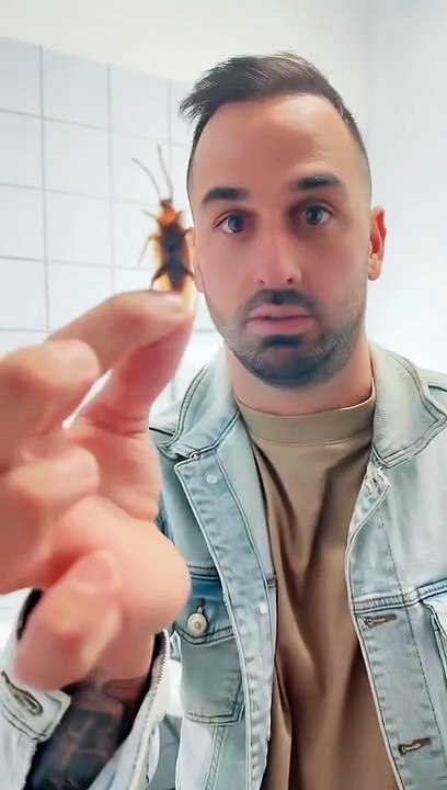 Η απίθανη φάρσα του Σοϊλέδη στη Σταυροπούλου στ...