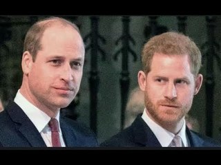 È improbabile che il principe Harry risolva mai la relazione con William poiché il "divario" tra lor