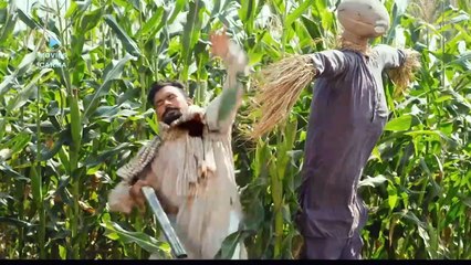Ucha Pind: The Exciting New Punjabi-Hindi Dubbed Movie 🎬