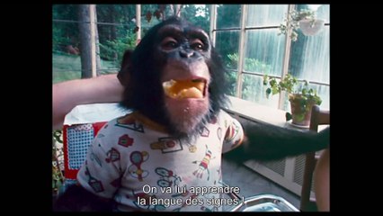 LE PROJET NIM - Bande annonce