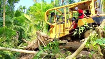 Transforming Areca Tree Farms by Building Roads Using a Bulldozer || D6R XL Bulldozer