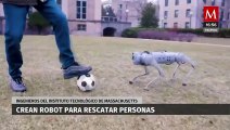 Ingenieros del Instituto Tecnológico de Massachusetts crean un robot que podrá salvar vidas