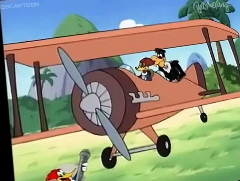 The New Woody Woodpecker Show S03 E011 - Birdhounded