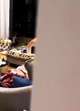 Are there any normal cats in the world # There are silly cats at home-4