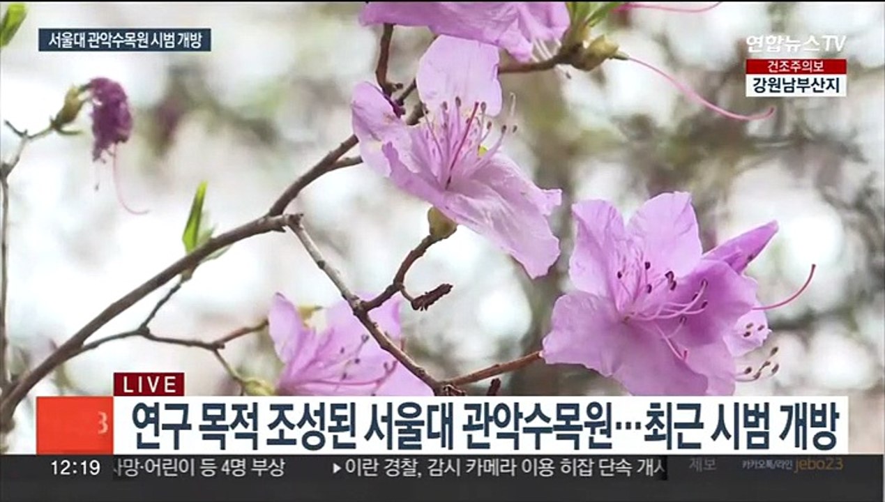 '비밀의 숲' 관악수목원 개방…23일간 봄 나들이