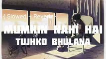 Mumkin Nahi Hai Tujhko Bhulana [ Slowed   Reverb ] __ Lofi Song __ Slowed To