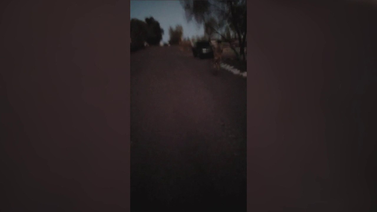 مشاهد لسيطرة الجيش السوداني على معسكر "كافوري" التابع للدعم السريع في الخرطوم