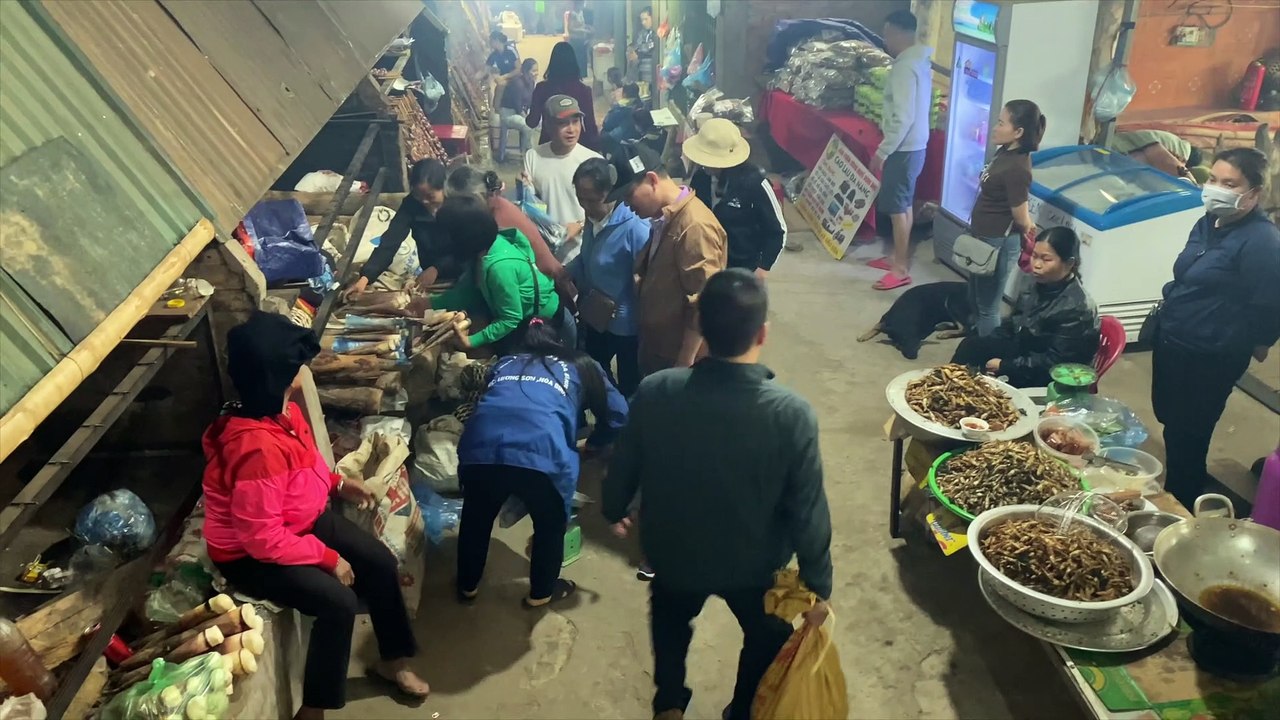 Hòa Bình Lung tung ký
