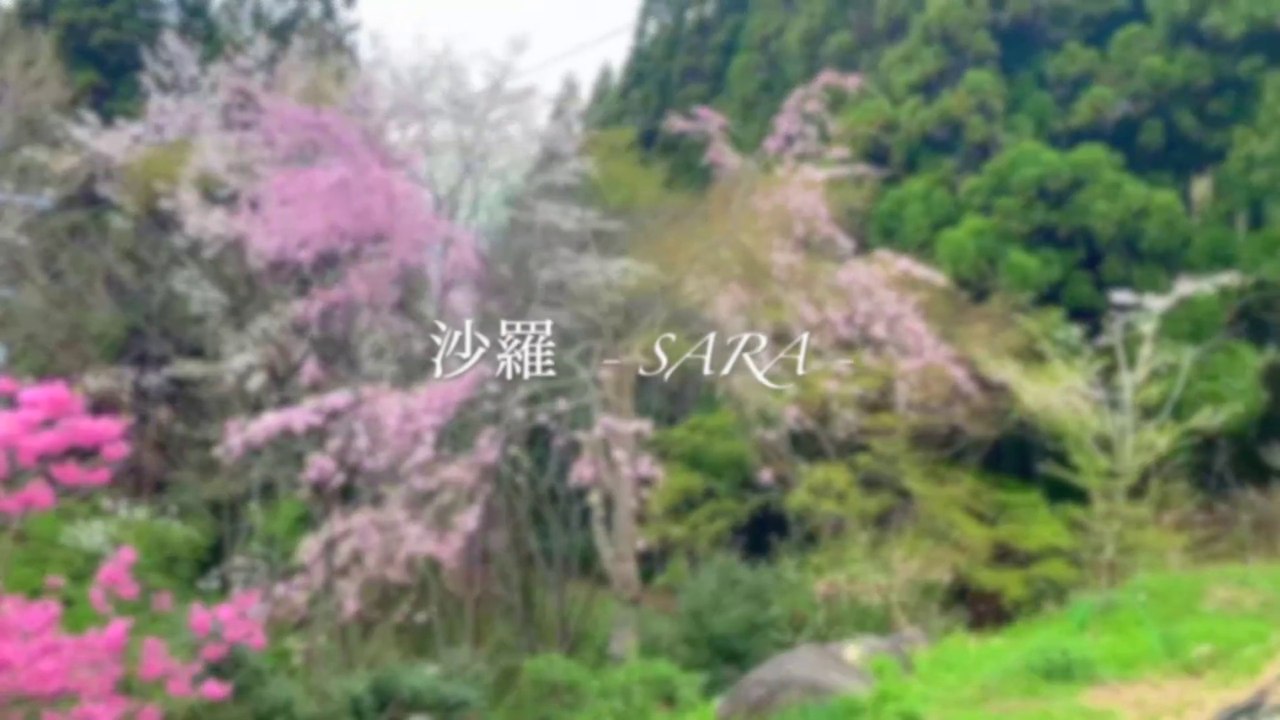 Garden tour before the storm(嵐の前のお庭ツアー) - Japanese Natural Forest  Garden(BGM付き)