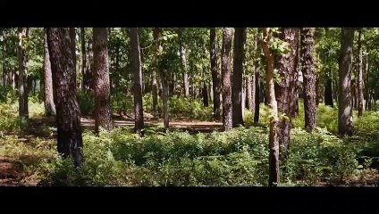 Knock at the Cabin Bande-annonce (RU)