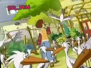 The Tofus The Tofus E003 – Strictly for the Birds / Rooster Crime Watch