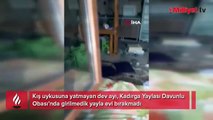 7 aylık kabus böyle bitti! Bir şişe zeytinyağını içip, her yeri paramparça etti