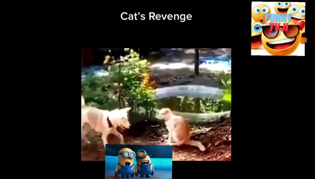 Cat Revange video_2023_04_16_08