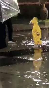 Baby Walking In The Rain |Baby Enjoying In The Rain | Cute Babies | Naughty Babies | Funny Babies