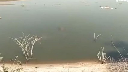 నారాయణఖేడ్: విషాదం.. రామసముద్రం చెరువులో విద్యార్ధి మృతదేహం