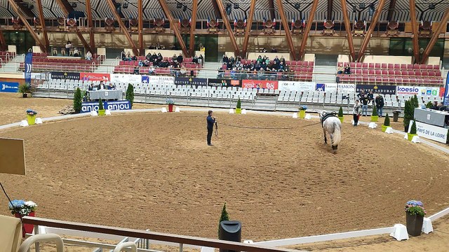 06/04/23 Libre amateur 2 Noé CVI Saumur (49)