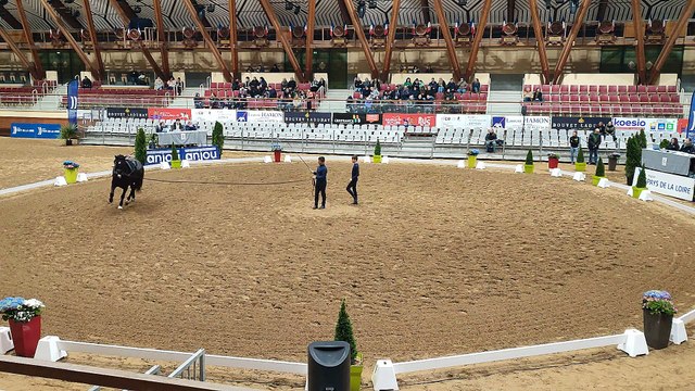 06/04/23 Libre amateur 2 Ethan CVI Saumur (49)