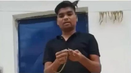 नर्मदापुरम: घर में निकली जहरीली मॉनिटर लिजर्ड, लोगों के देख उड़े होश