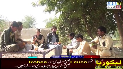 Kino Chor Airport & Anam Jee - New Funny Video 2020 - Airport Tv HD