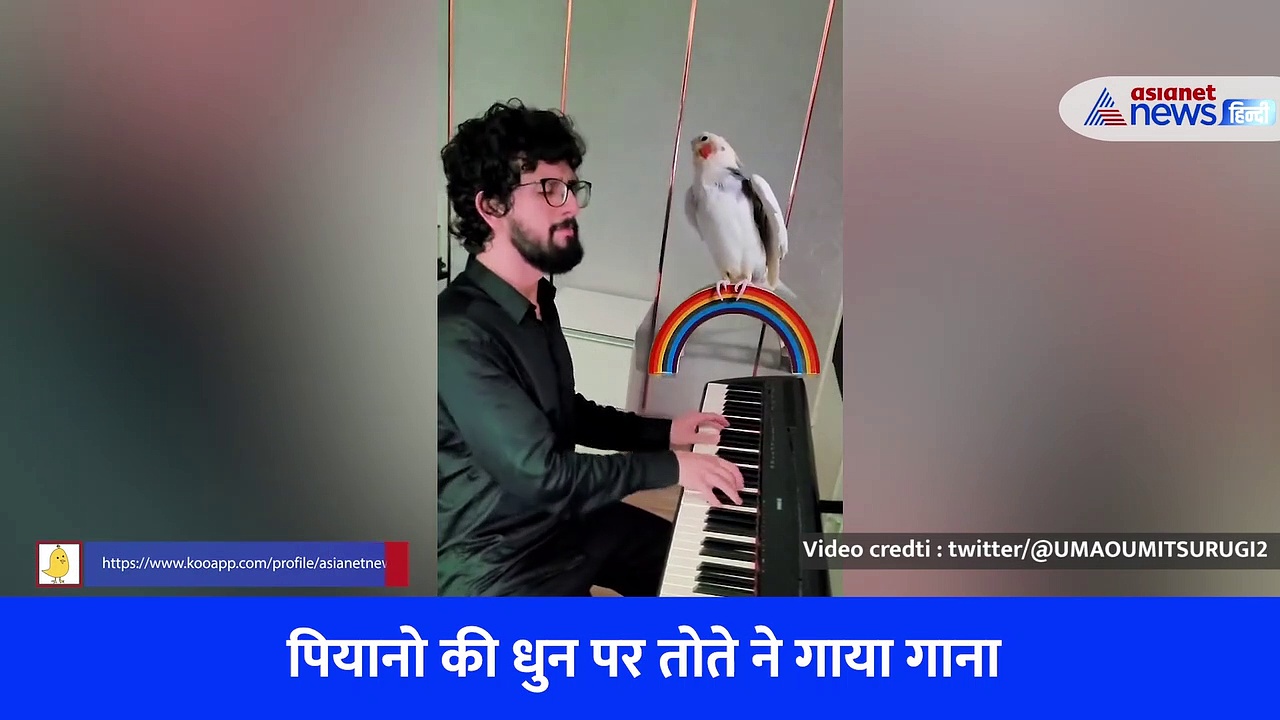 Viral Video : पियानो की धुन पर ऐसा गाना गाता है तोता कि देखते रह जाएंगे, बोलने वाले तोते हुए पुराने