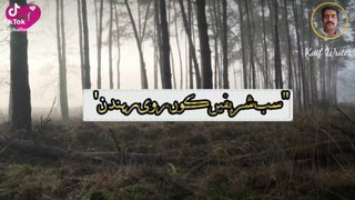 saraiki poetry whatsapp status kawish