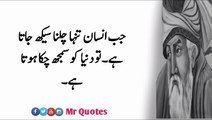 Apna 3 Raaz Ghar Walo sa Hargaz share na kren - Inspirational Quotes - Quotes About Relationship --