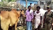 కుంటాల: ఎడ్ల బండిపై చిరుత దాడి.. భయాందోళనలో ప్రజలు