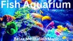 vbStunning Relaxing Music - The Best 4K Aquarium for Relaxation  Sleep Relax Meditation Music -bvb