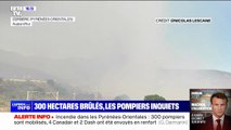 Pyrénées-Orientales: 300 hectares brûlés dans un incendie en cours entre Cerbère et Banyuls-sur-Mer