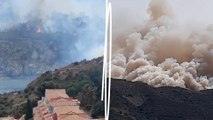 Incendie de forêt dans les Pyrénées-Orientales : 360 pompiers sur place, des habitants évacués