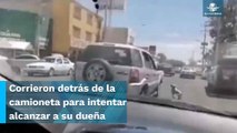 “Ya no me puedo regresar”: Mujer abandona a sus perritos en calles de Guadalajara, Jalisco