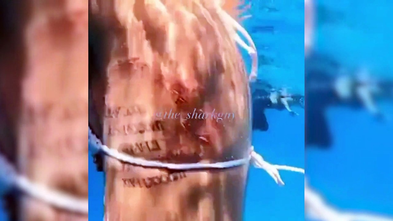 Vídeo: Tubarão morde modelo durante mergulho para sessão de fotos