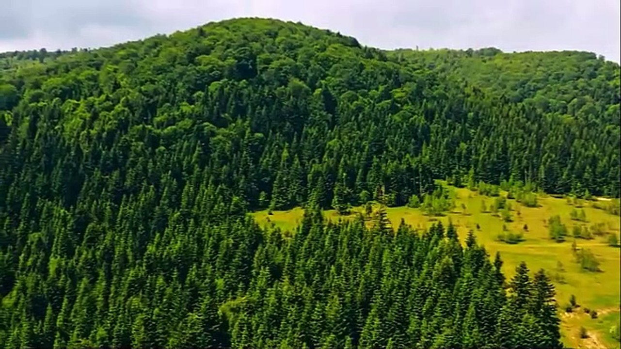 Drone Captures What No One Was Supposed to See…