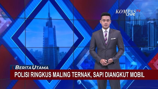 Maling Hewan Ternak yang Mengendarai Mobil Ditangkap Polisi, Terungkap Sudah 6 Kali Beraksi!