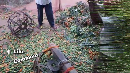 Process of Making Supari