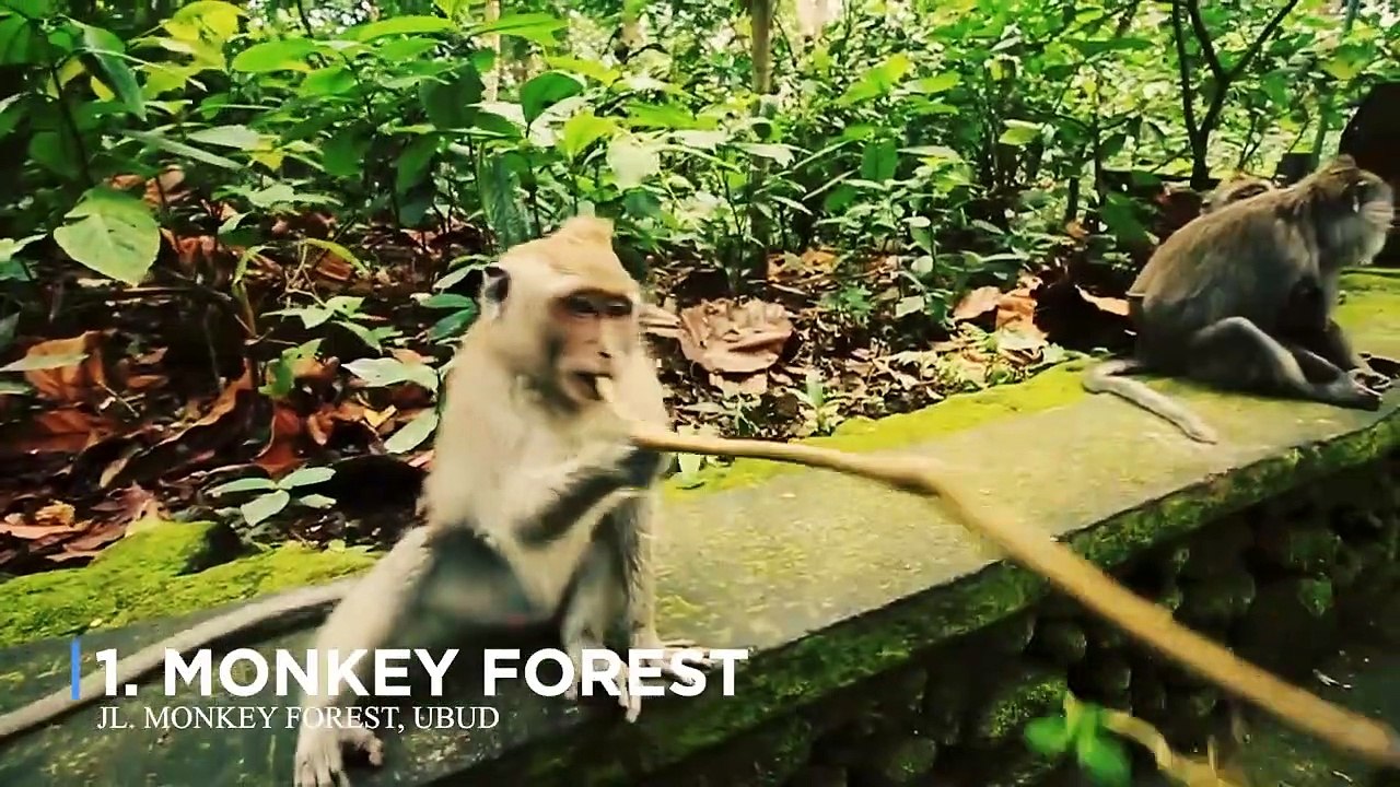 25 TEMPAT WISATA TERBAIK DI UBUD BALI - 25 HOLIDAY DESTINATION IN UBUD BALI