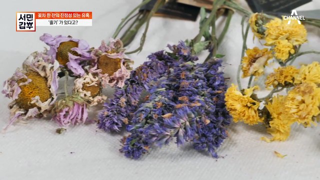 [#서민갑부] 꽃가루 휘날리며~ 흩날리는 돈소리가♬ 특허받은 꽃차 하나로 인생에 봄이 온 갑부?! #카페 #꽃차