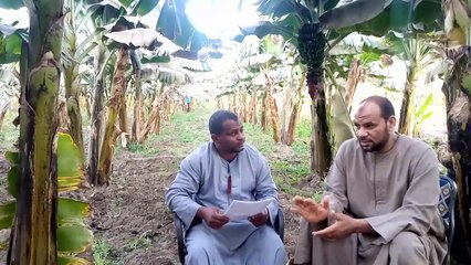 رسالة الى كل زوجة