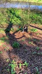 Failing and Falling Off The Rope Swing