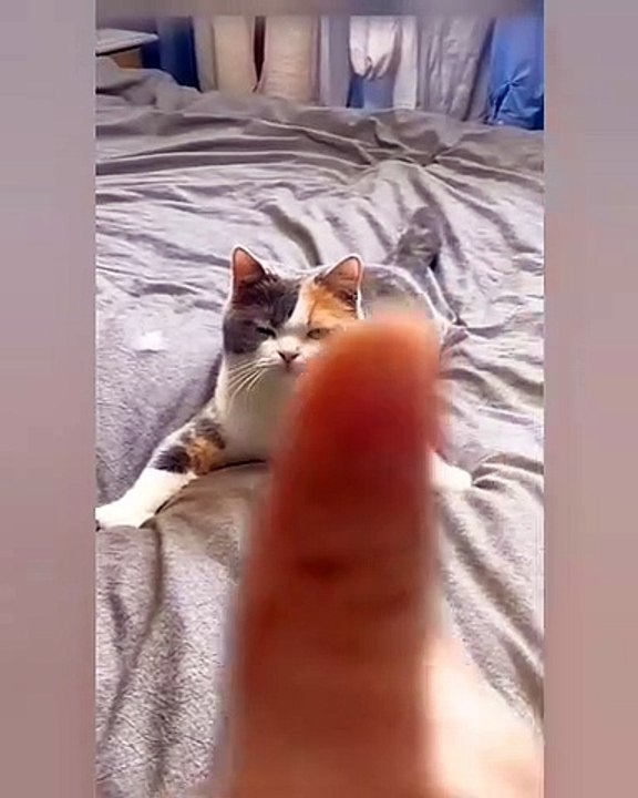 finally he understand , what he has to do