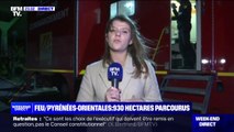 Pyrénées-Orientales: un premier incendie d'été, en avril