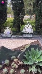 ‘La Bicha Catracha’ visitó la tumba de Pablo Escobar en Colombia