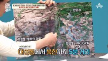 [#이만갑모아보기] 걸어서 5분이면 北 도착?! 세금·군대가 면제인 북한과 가장 가까운 마을, 대성동♨ #JSA #대성동