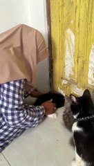 Kitten Gets Stuck Under Door