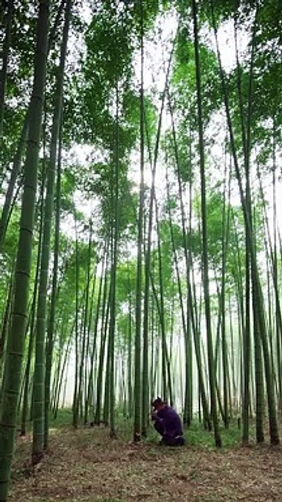 Bamboo chopsticks # handmade