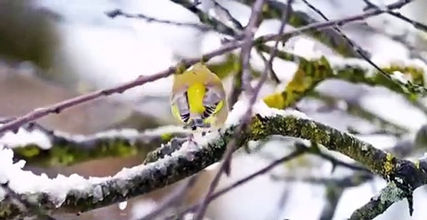 Absurd Planet S01 E07