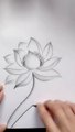 Pencil art drawing flowers /how to make flowers